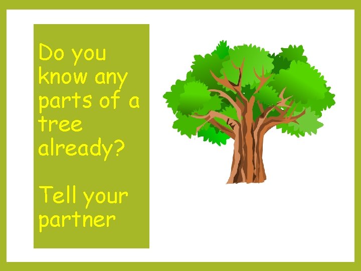 Do you know any parts of a tree already? Tell your partner 