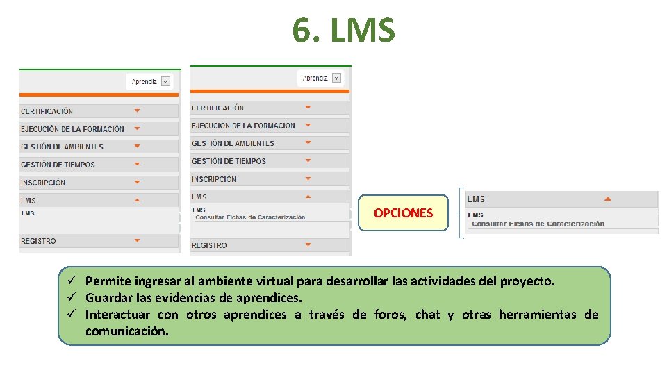 6. LMS OPCIONES ü Permite ingresar al ambiente virtual para desarrollar las actividades del