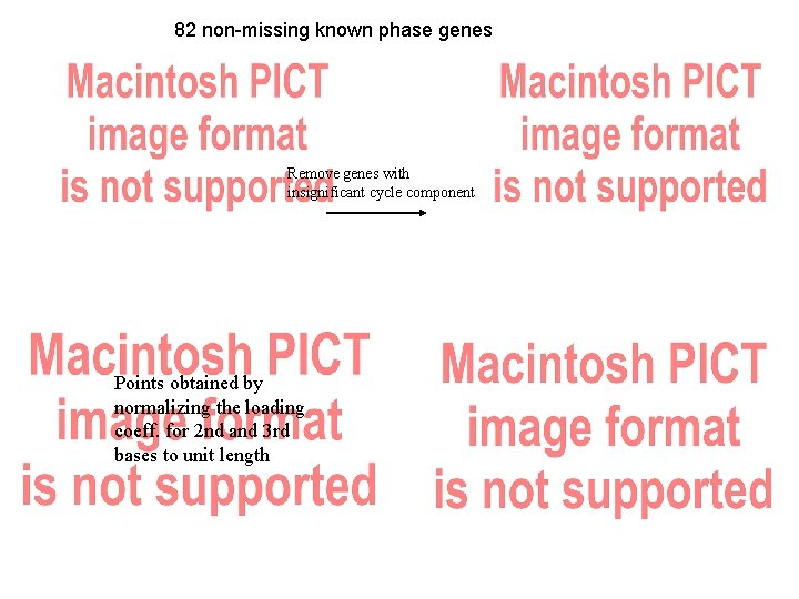 82 non-missing known phase genes Remove genes with insignificant cycle component Points obtained by