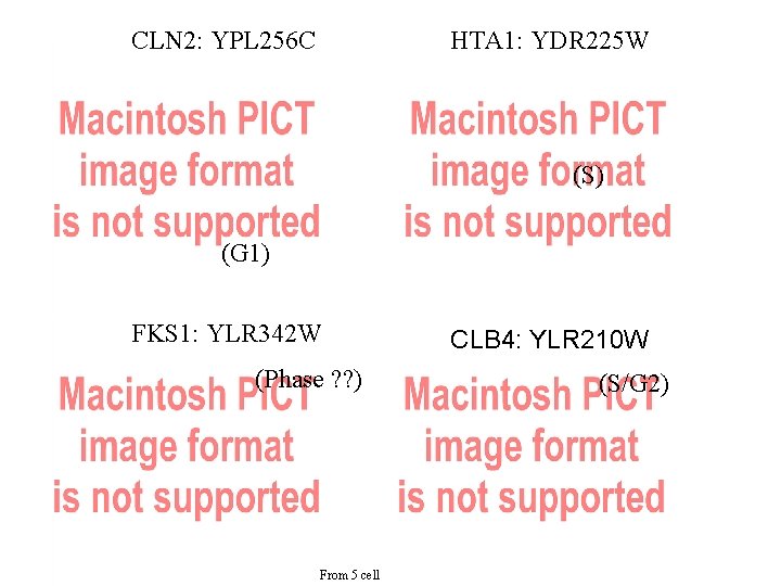 CLN 2: YPL 256 C HTA 1: YDR 225 W (S) (G 1) FKS