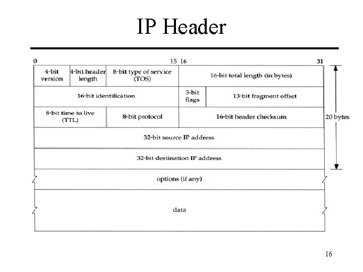 IP Header 16 