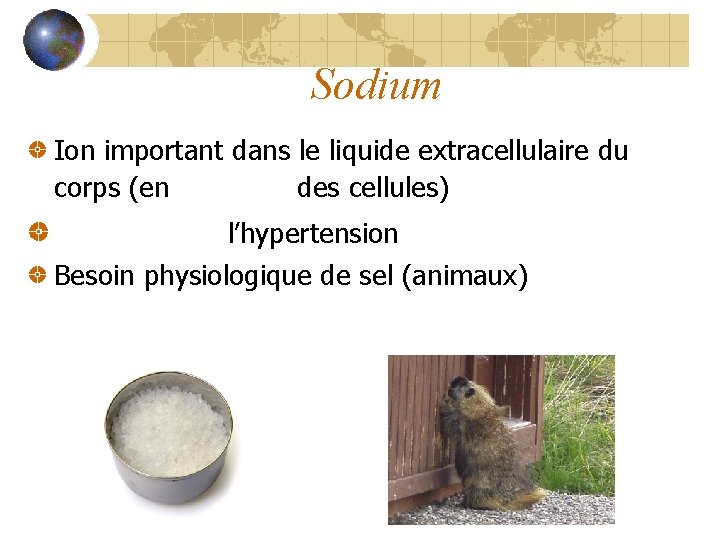 Sodium Ion important dans le liquide extracellulaire du corps (en dehors des cellules) Augmente