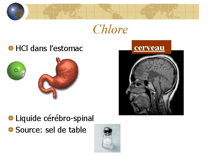 Chlore HCl dans l’estomac Liquide cérébro-spinal Source: sel de table cerveau 