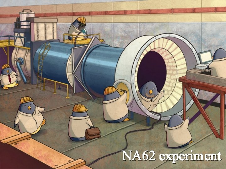 NA 62 experiment 