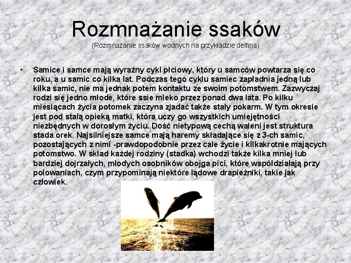 Rozmnażanie ssaków (Rozmnażanie ssaków wodnych na przykładzie delfina) • Samice i samce mają wyraźny