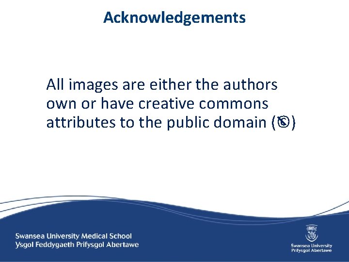 Acknowledgements All images are either the authors own or have creative commons attributes to