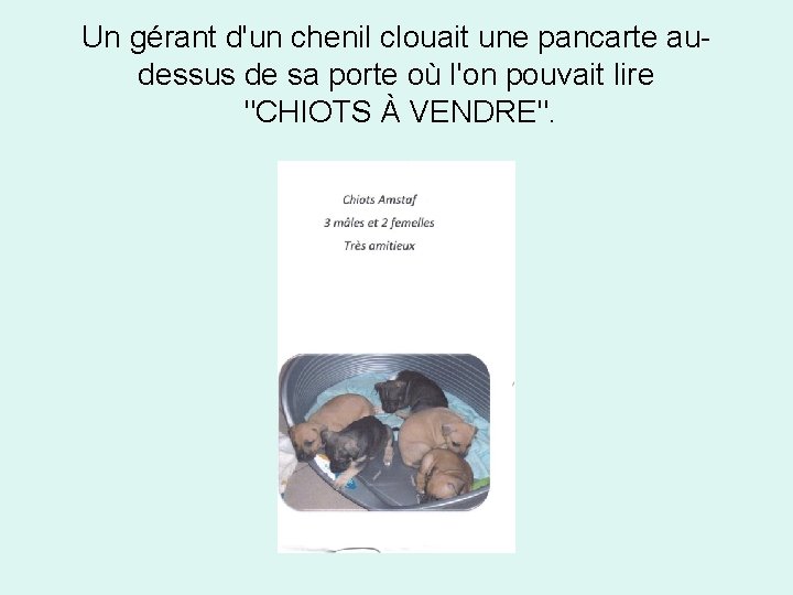 Un gérant d'un chenil clouait une pancarte audessus de sa porte où l'on pouvait