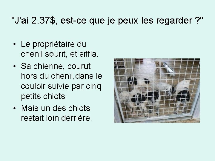 "J'ai 2. 37$, est-ce que je peux les regarder ? " • Le propriétaire