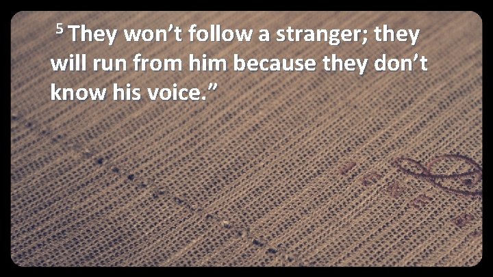 5 They won’t follow a stranger; they will run from him because they don’t