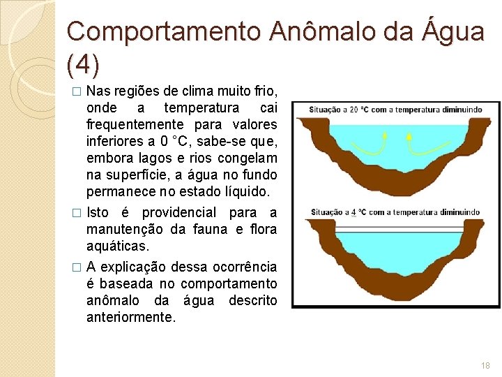 Comportamento Anômalo da Água (4) Nas regiões de clima muito frio, onde a temperatura