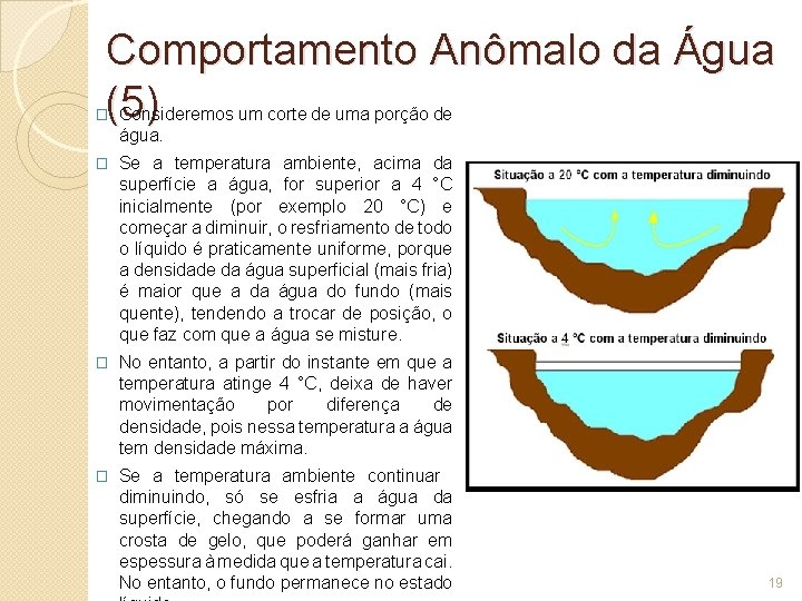 Comportamento Anômalo da Água (5) Consideremos um corte de uma porção de � água.