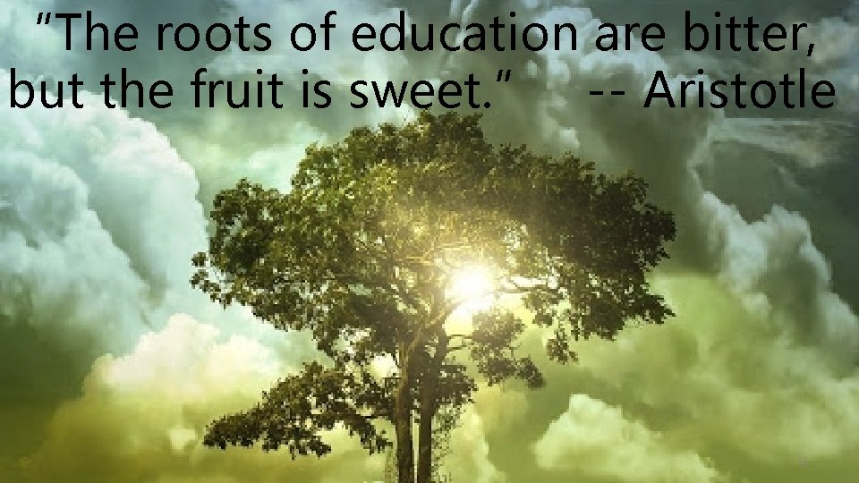 “The roots of education are bitter, but the fruit is sweet. ” -- Aristotle