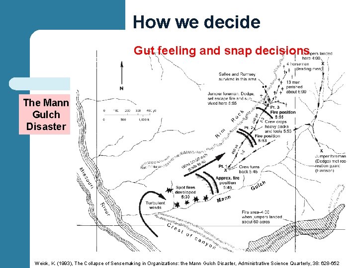How we decide Gut feeling and snap decisions The Mann Gulch Disaster Weick, K.