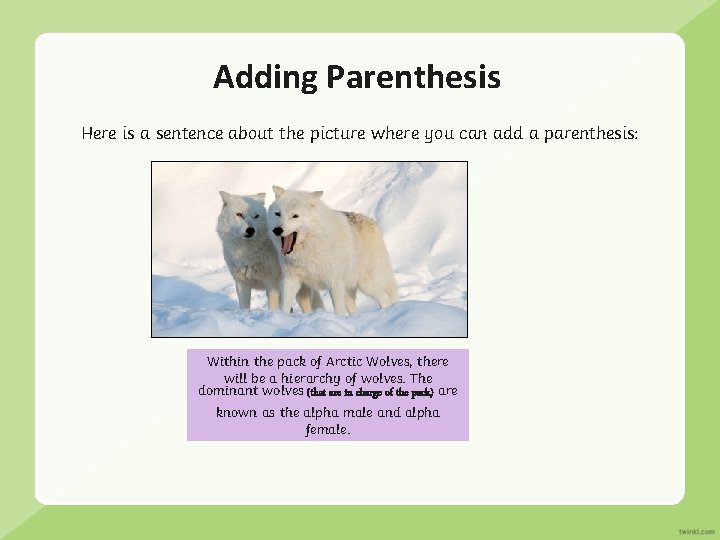 Adding Parenthesis Here is a sentence about the picture where you can add a Adding Parenthesis Here is a sentence about the picture where you can add a