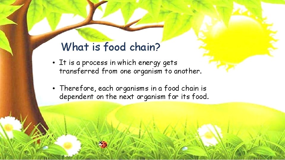 What is food chain? • It is a process in which energy gets transferred