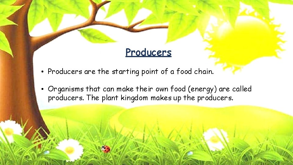 Producers • Producers are the starting point of a food chain. • Organisms that