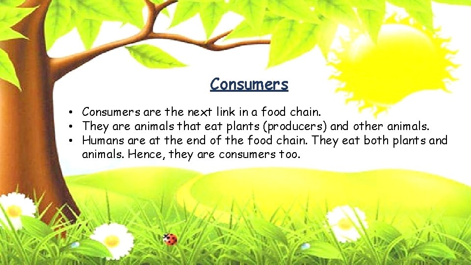 Consumers • Consumers are the next link in a food chain. • They are