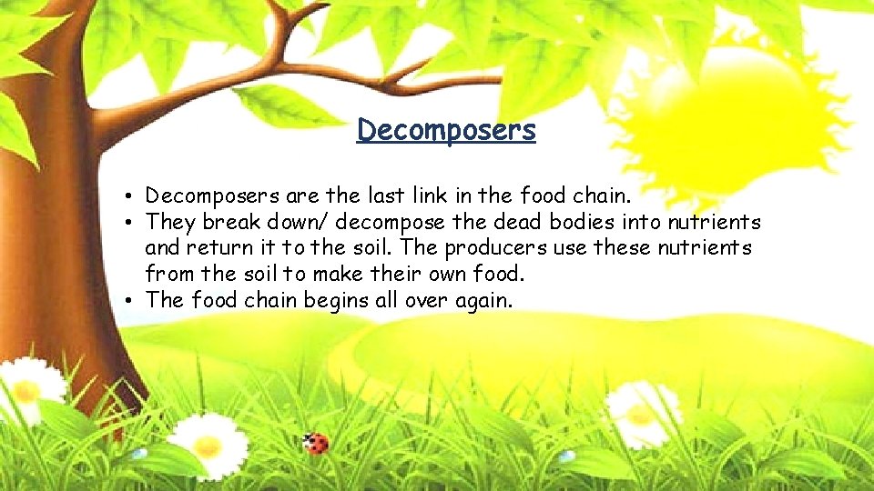 Decomposers • Decomposers are the last link in the food chain. • They break