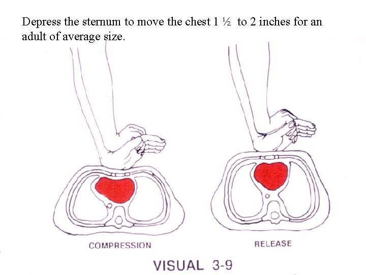 Depress the sternum to move the chest 1 ½ to 2 inches for an