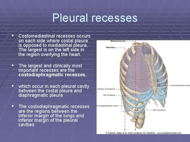 Pleural recesses § Costomediastinal recesses occurs on each side where costal pleura is opposed