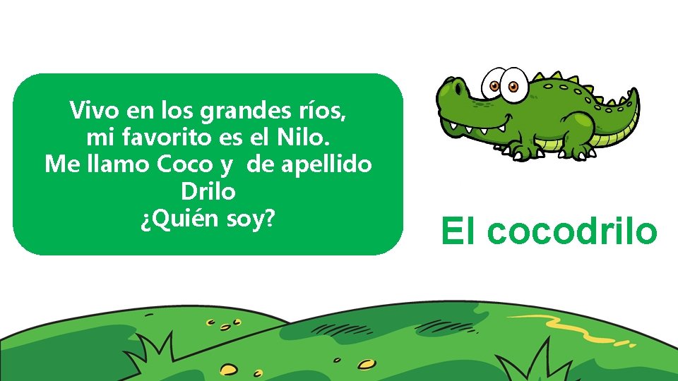 Vivo en los grandes ríos, mi favorito es el Nilo. Me llamo Coco y