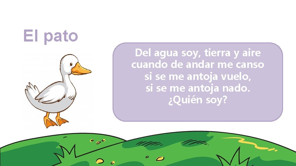 El pato Del agua soy, tierra y aire cuando de andar me canso si