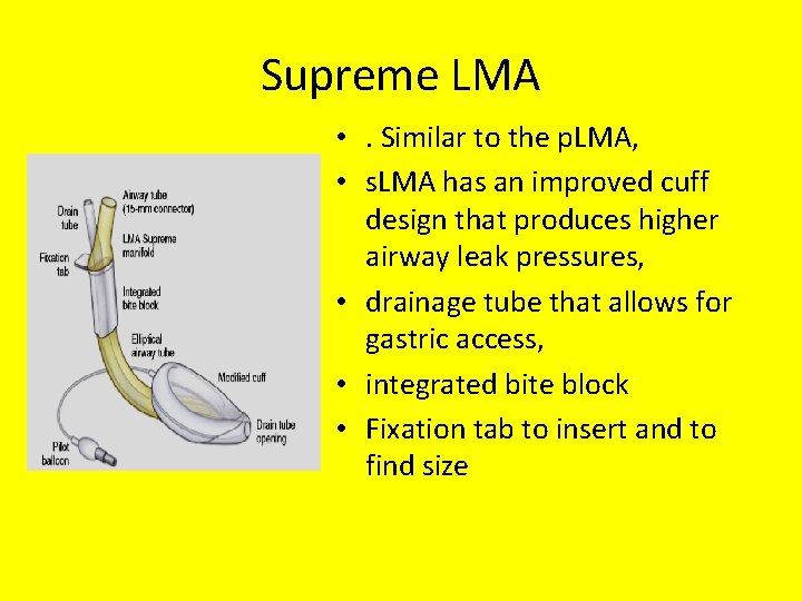 Supreme LMA • . Similar to the p. LMA, • s. LMA has an