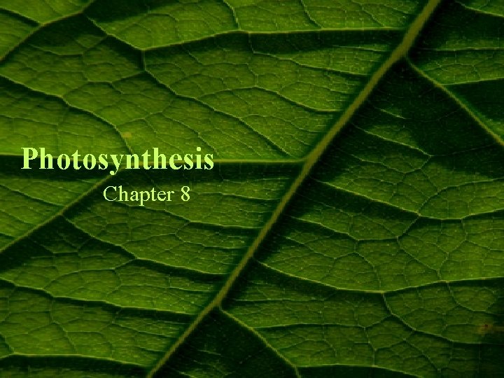 Photosynthesis Chapter 8 