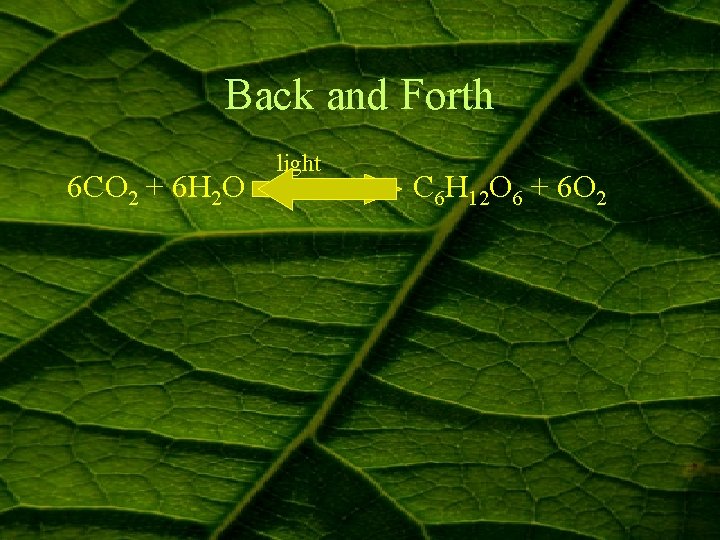 Back and Forth 6 CO 2 + 6 H 2 O light C 6