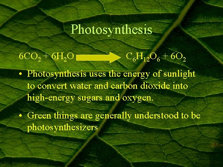 Photosynthesis 6 CO 2 + 6 H 2 O C 6 H 12 O