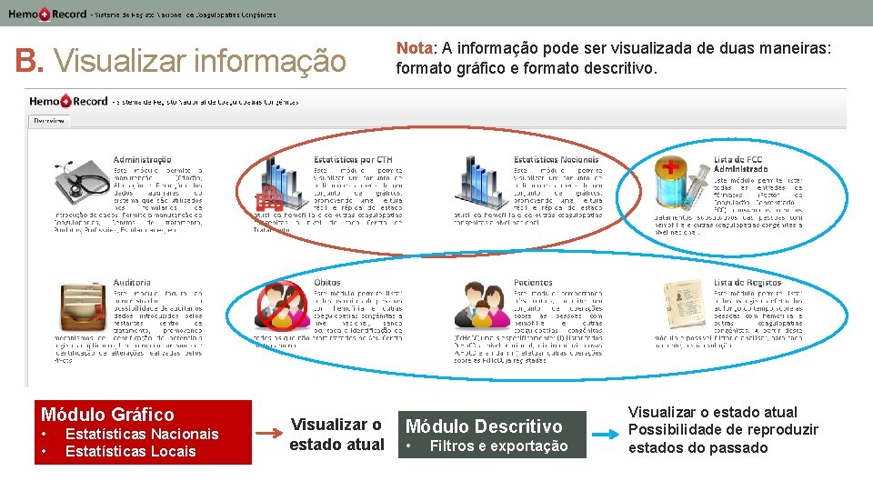 B. Visualizar informação Módulo Gráfico • • Estatísticas Nacionais Estatísticas Locais Visualizar o estado