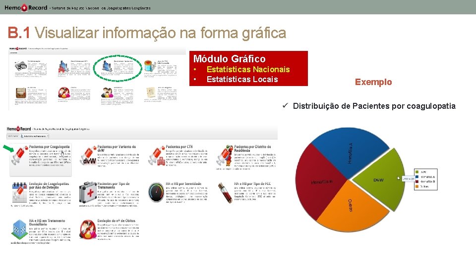 B. 1 Visualizar informação na forma gráfica Módulo Gráfico • • Estatísticas Nacionais Estatísticas