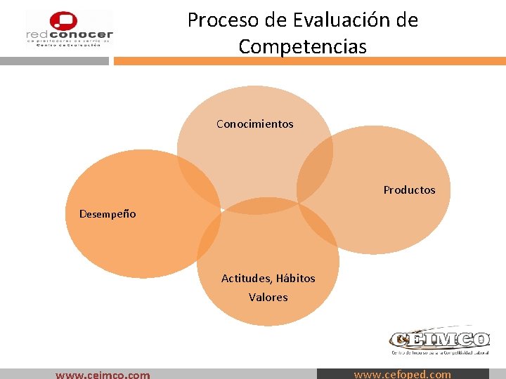 Proceso de Evaluación de Competencias Conocimientos Productos Desempeño Actitudes, Hábitos Valores www. cefoped. com