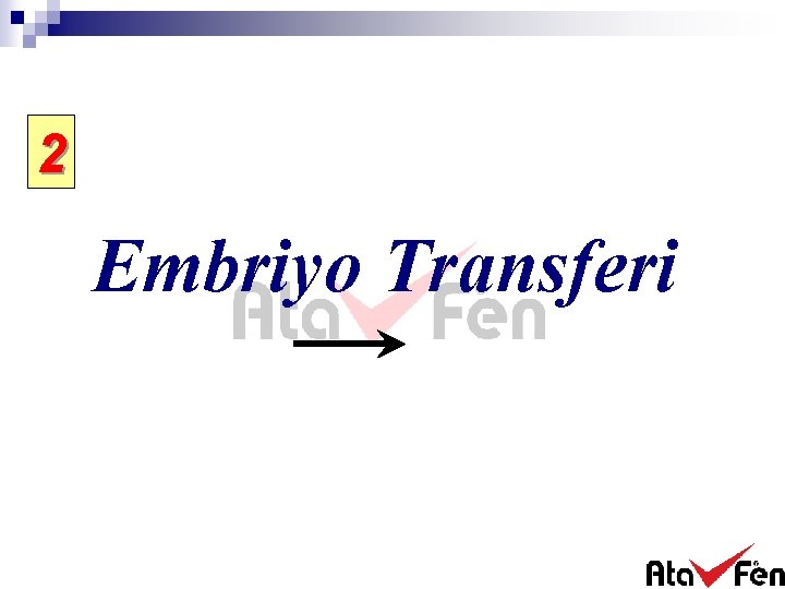 2 Embriyo Transferi 