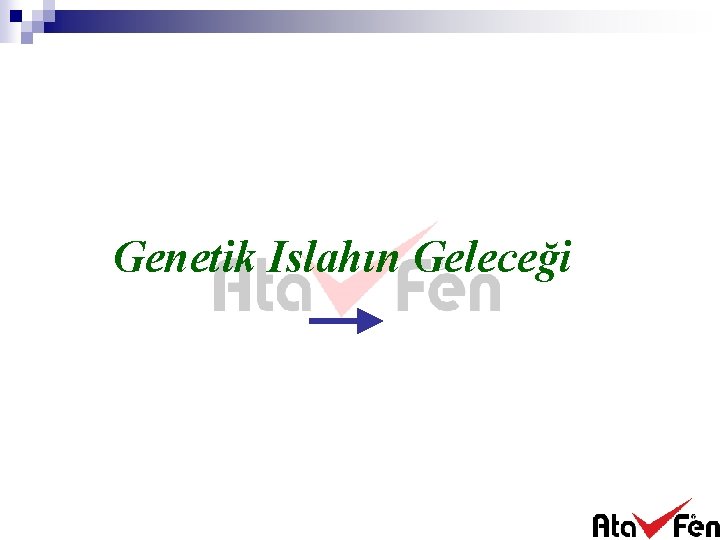 Genetik Islahın Geleceği 