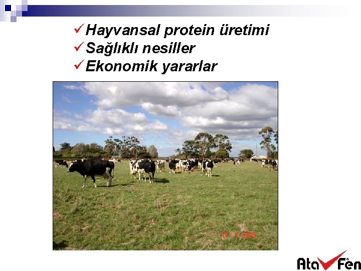 üHayvansal protein üretimi üSağlıklı nesiller üEkonomik yararlar 