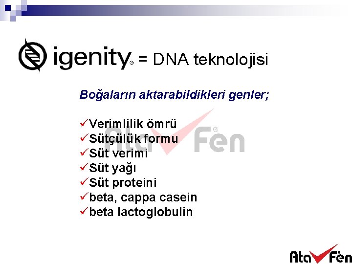 = DNA teknolojisi Boğaların aktarabildikleri genler; üVerimlilik ömrü üSütçülük formu üSüt verimi üSüt yağı