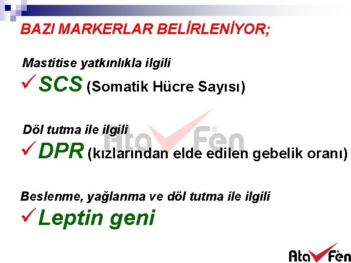 BAZI MARKERLAR BELİRLENİYOR; Mastitise yatkınlıkla ilgili üSCS (Somatik Hücre Sayısı) Döl tutma ile ilgili