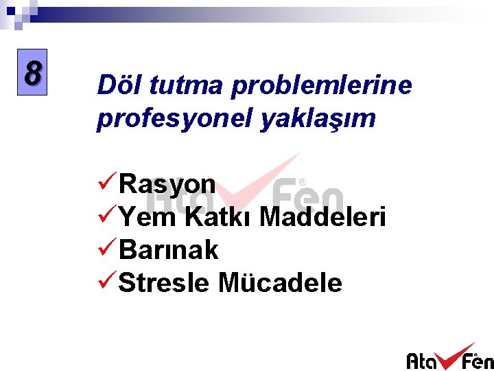 8 Döl tutma problemlerine profesyonel yaklaşım üRasyon üYem Katkı Maddeleri üBarınak üStresle Mücadele 