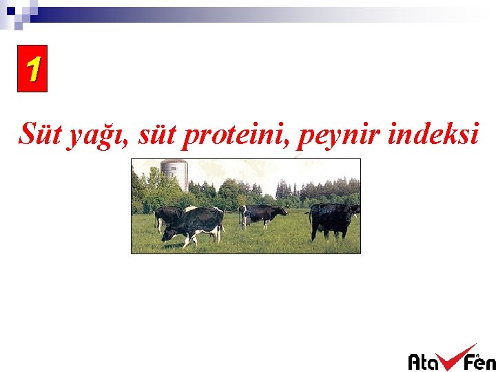 1 Süt yağı, süt proteini, peynir indeksi 