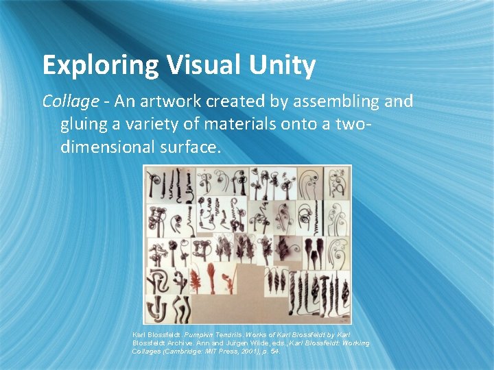 Exploring Visual Unity Collage - An artwork created by assembling and gluing a variety