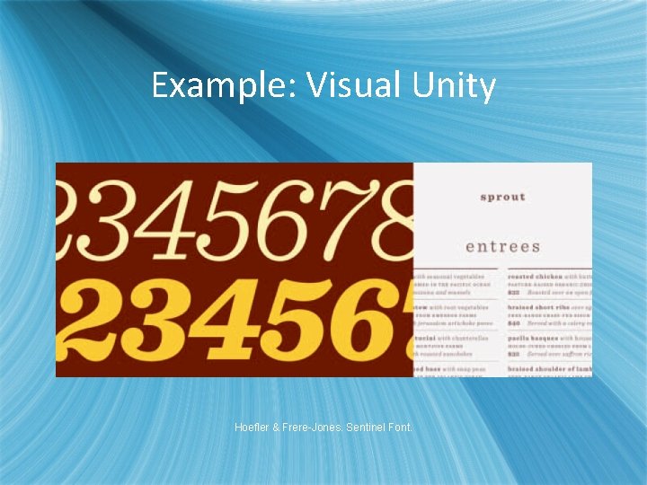 Example: Visual Unity Hoefler & Frere-Jones. Sentinel Font. 