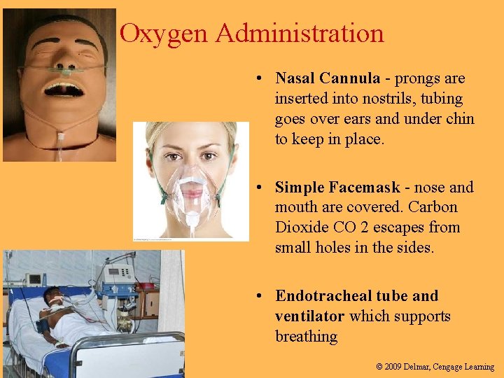 Oxygen Administration • Nasal Cannula - prongs are inserted into nostrils, tubing goes over