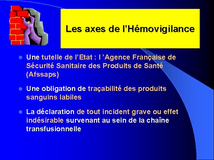 Les axes de l’Hémovigilance l Une tutelle de l’Etat : l ’Agence Française de