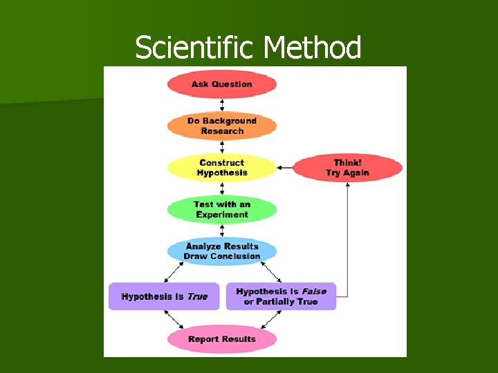 The Nature of Science Objective 1 Science vs