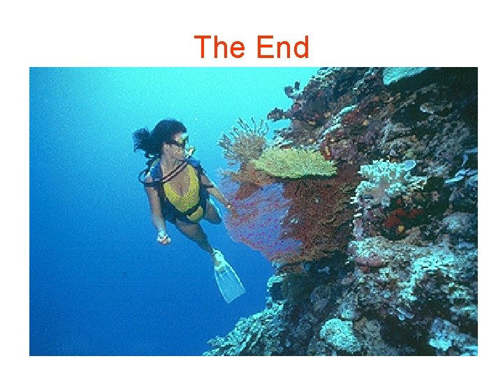 The End 54 