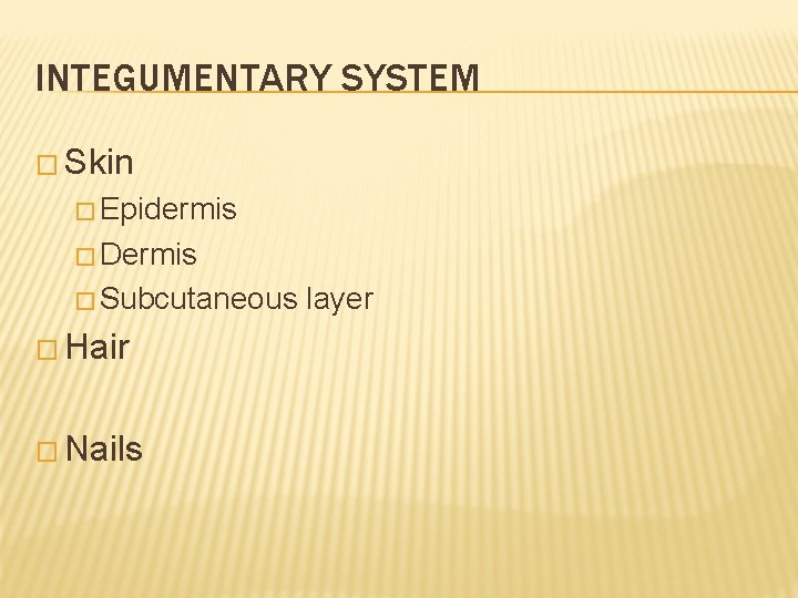 INTEGUMENTARY SYSTEM � Skin � Epidermis � Dermis � Subcutaneous � Hair � Nails