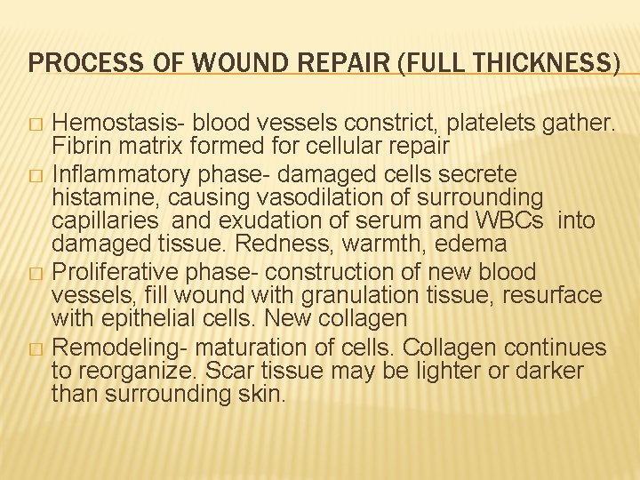 PROCESS OF WOUND REPAIR (FULL THICKNESS) Hemostasis- blood vessels constrict, platelets gather. Fibrin matrix