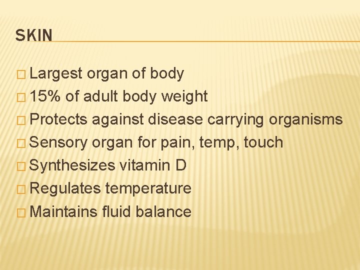 SKIN � Largest organ of body � 15% of adult body weight � Protects