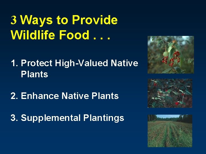 3 Ways to Provide Wildlife Food. . . 1. Protect High-Valued Native Plants 2.